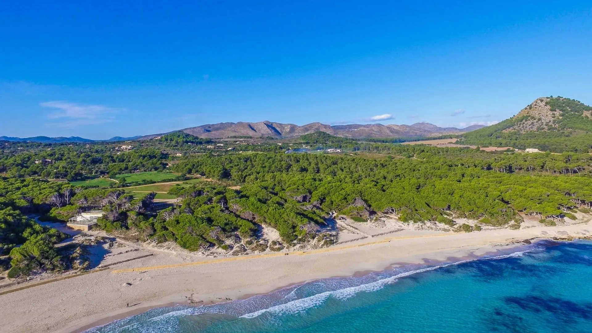 Ideal Property Mallorca - Las Palmeras 3 سون سيرفيرا إسبانيا